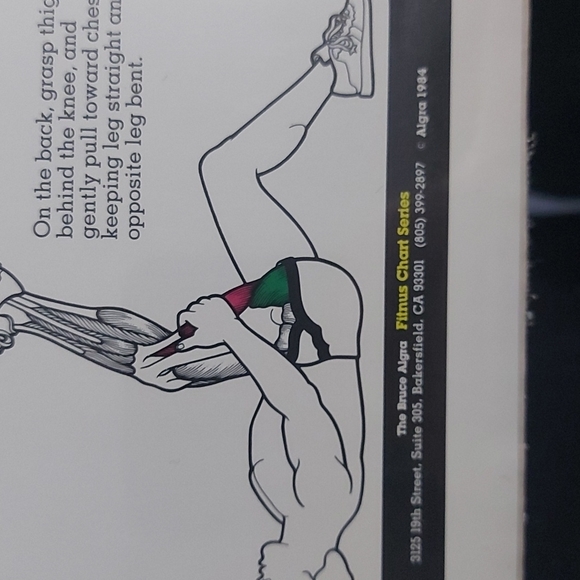 1984 Vintage Bruce Algra Weigh Training Flexibility Fitness Chart Series - Picture 3 of 4